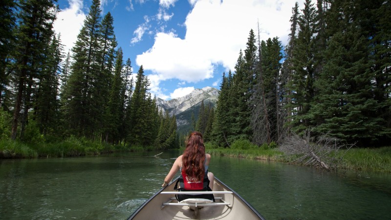 Woman canoeing through tranquil waters in Banff National Park, surrounded by lush pine forests., tags: donau-paddeln: abenteuer-lebensader von - pexel